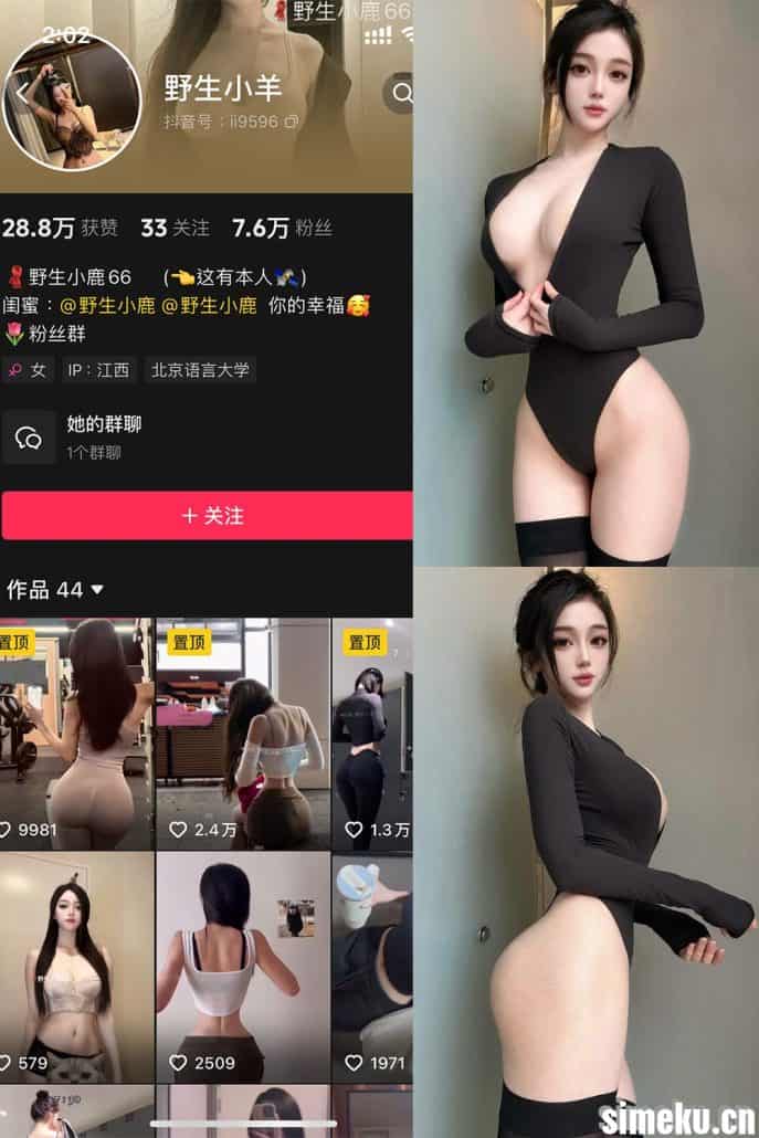 [合集打包]抖音野生小羊/野生小鹿66铁粉空间作品合集完整打包下载+持续更新-次元集