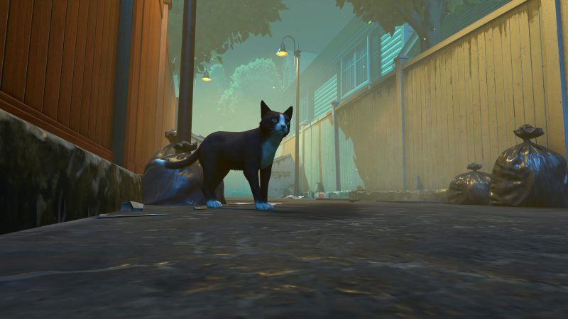 冒牌猫谜/Copycat-次元集