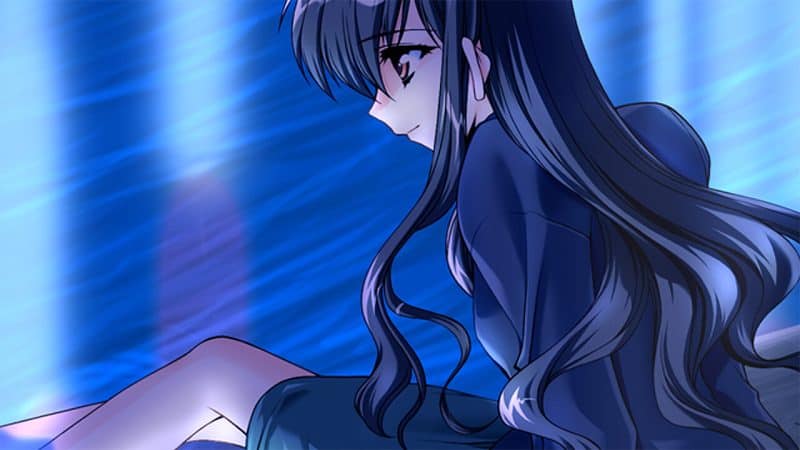 第七夜：无限的终结/Never 7 - The End of Infinity-次元集