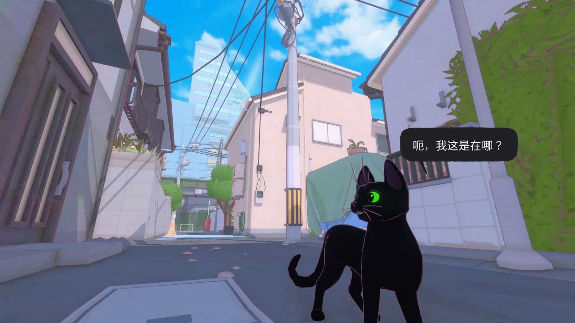小猫咪大城市/Little Kitty, Big City-次元集