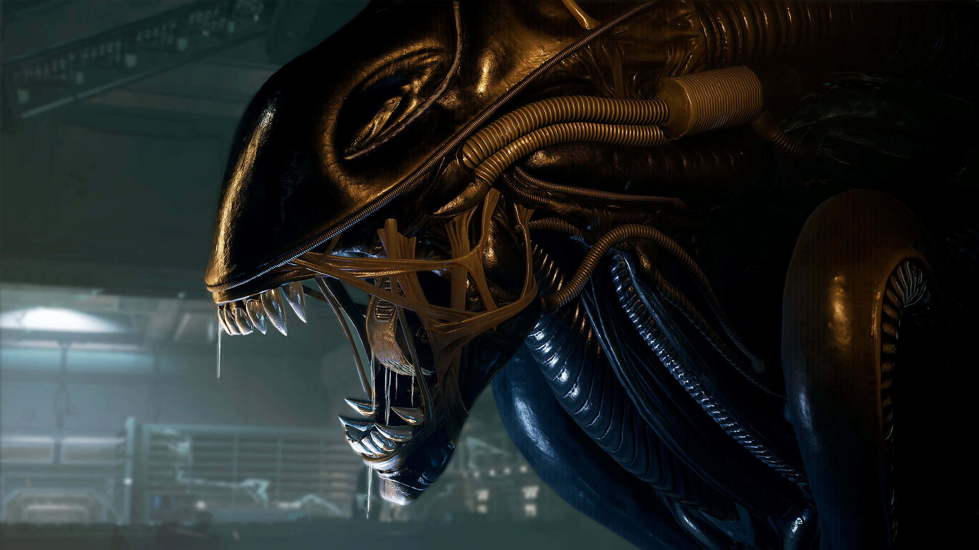 异形：侠盗入侵/Alien: Rogue Incursion/支持VR-次元集