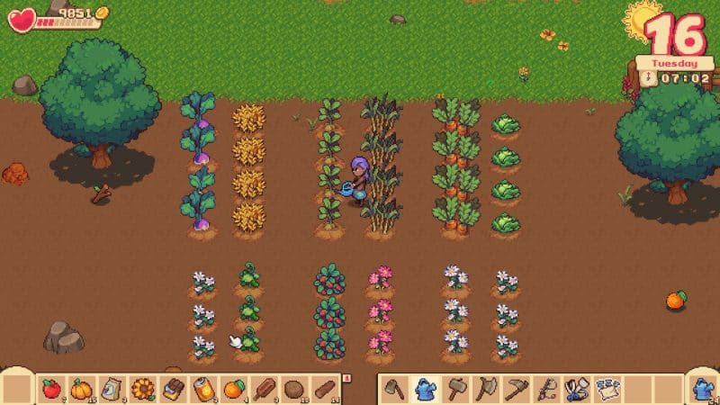 牧场物语：橙色季节/Orange Season-次元集