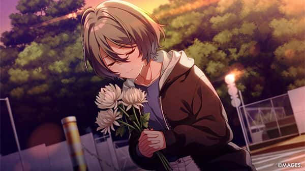 SINce Memories 星穹之下 数字版/SINce Memories: Off The Starry Sky)-次元集