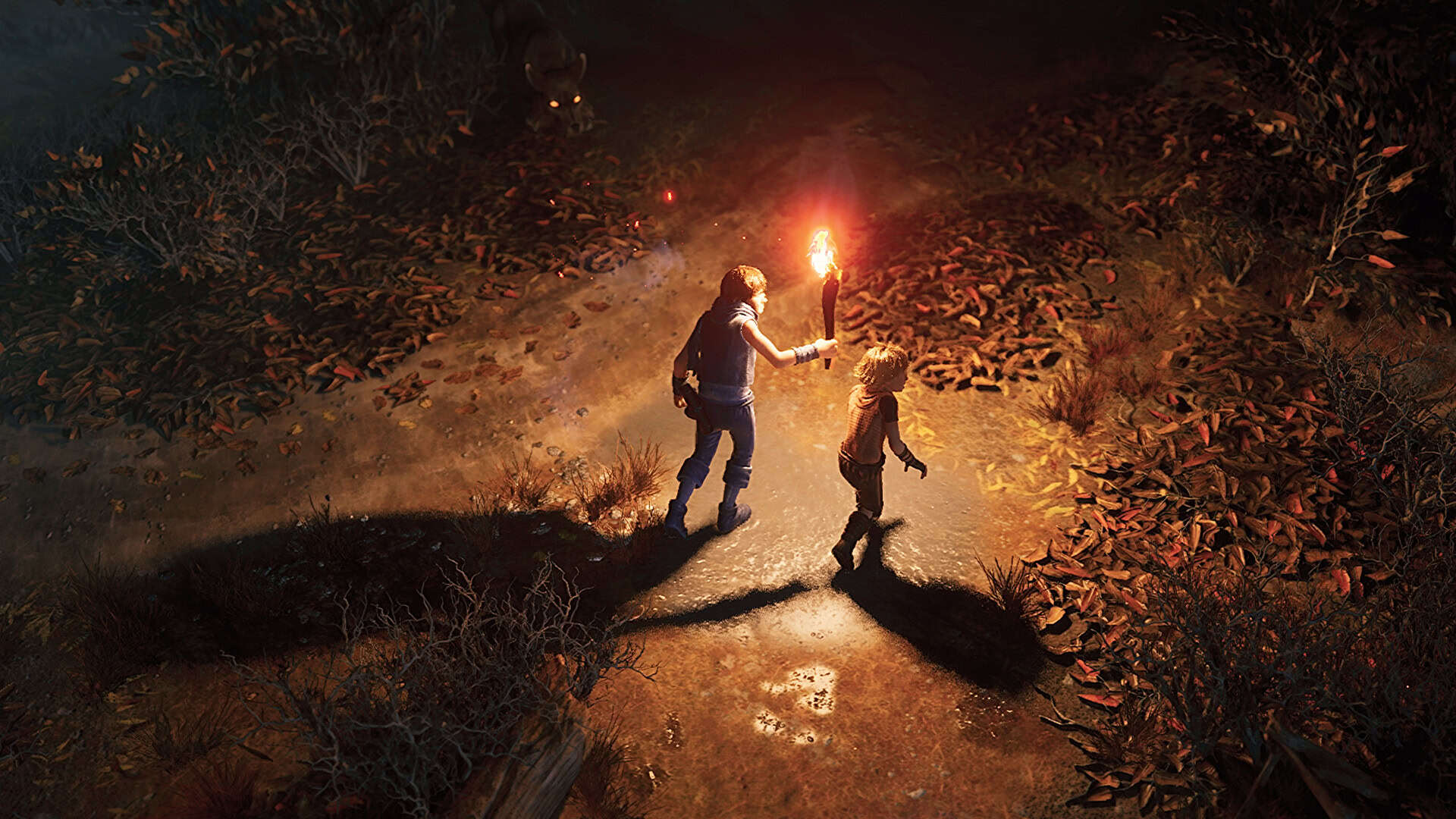 兄弟：双子传说 重制版/Brothers: A Tale of Two Sons Remake-次元集