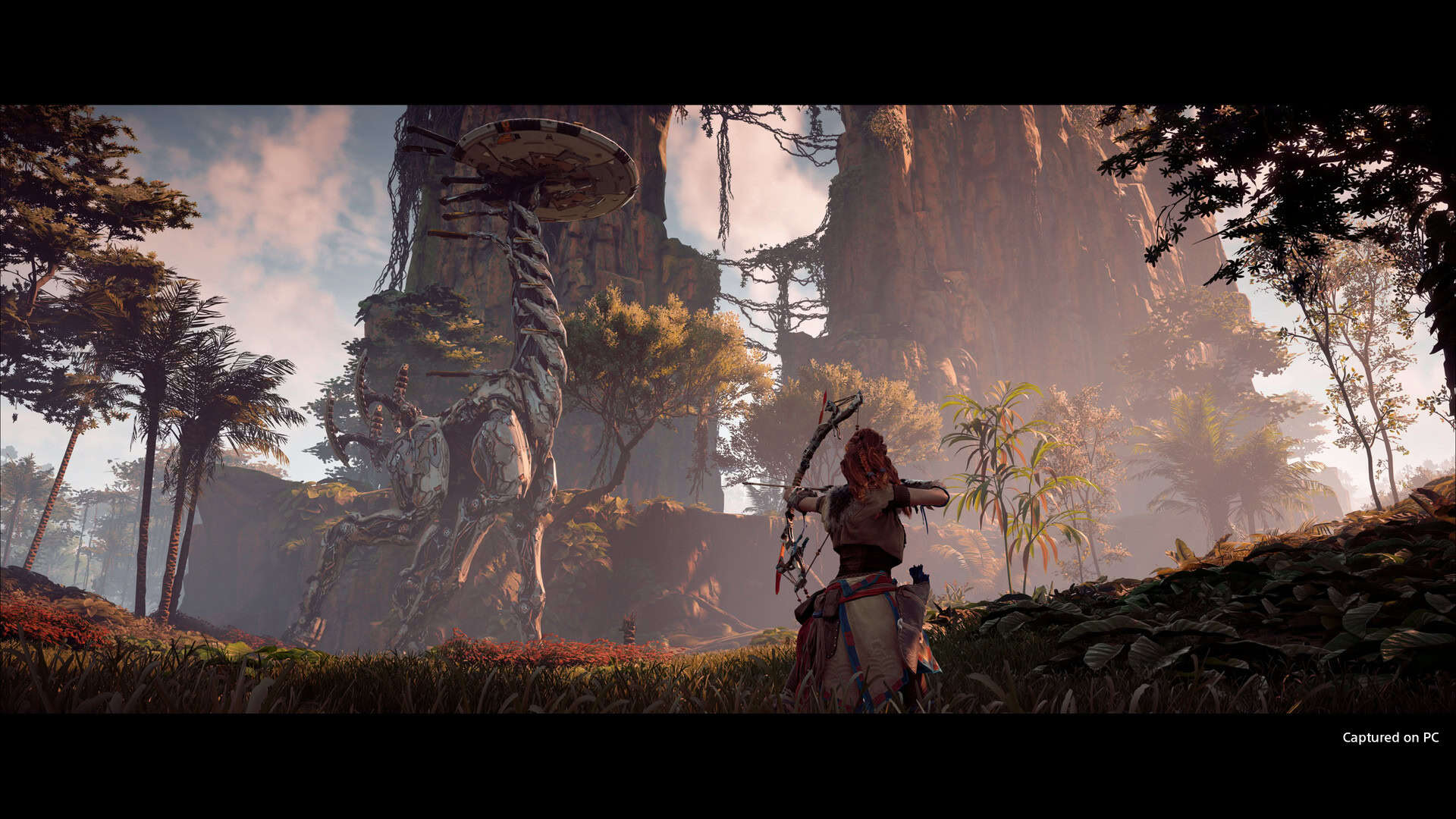 地平线：零之曙光完全版/Horizon Zero Dawn Complete Edition-次元集