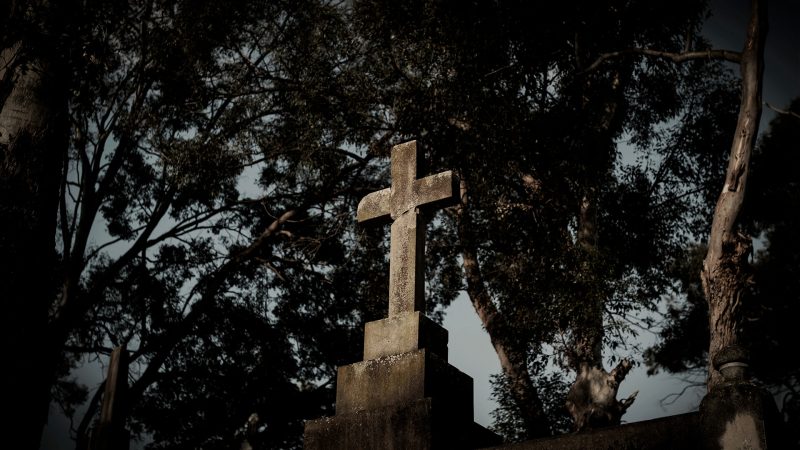 ASZG项目/ASZG Project-次元集