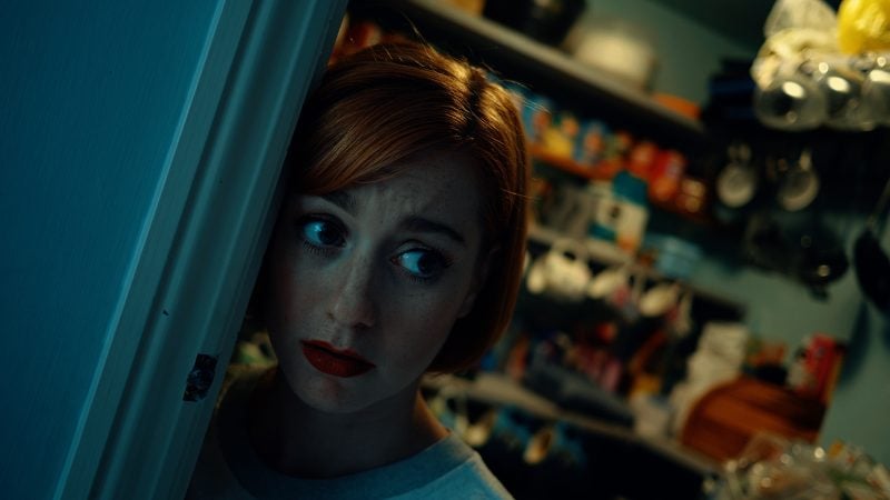 化身侦探/变形侦探/The Shapeshifting Detective-次元集