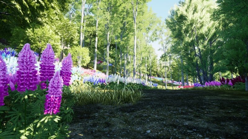 自然猎人/Nature Hunter-次元集