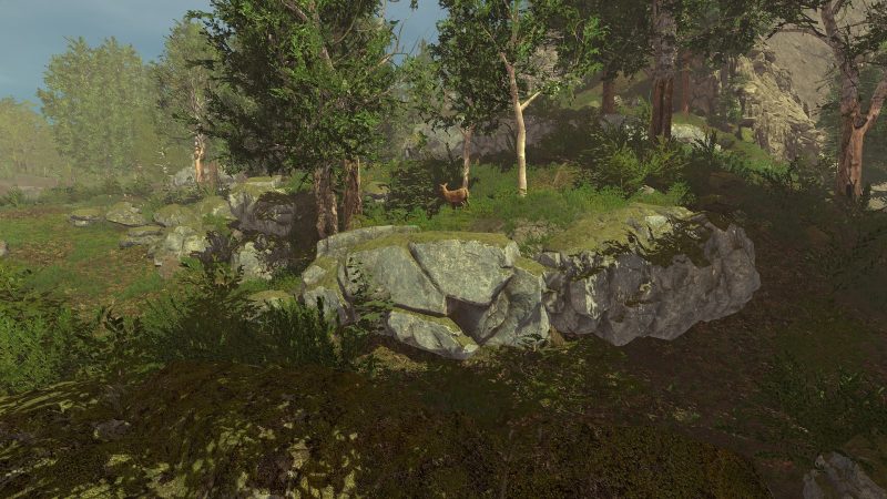 荒野的试炼/Trials of Wilderness-次元集