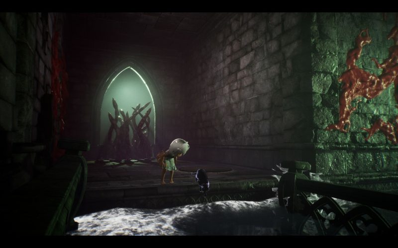 LIGHT：黑色小猫与失忆少女/LIGHT: Black Cat & Amnesia Girl-次元集