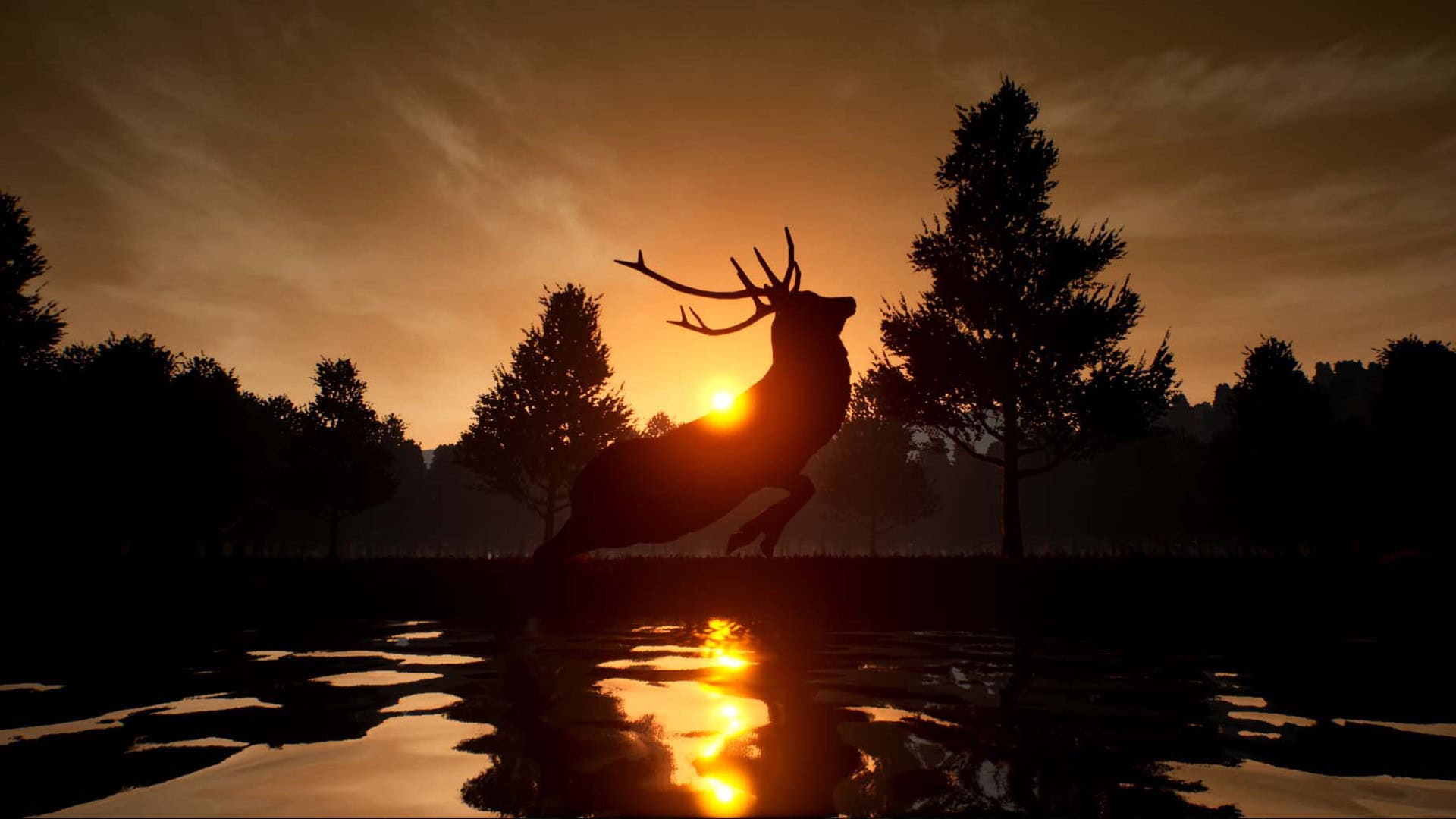 鹿之旅/Deer Journey-次元集