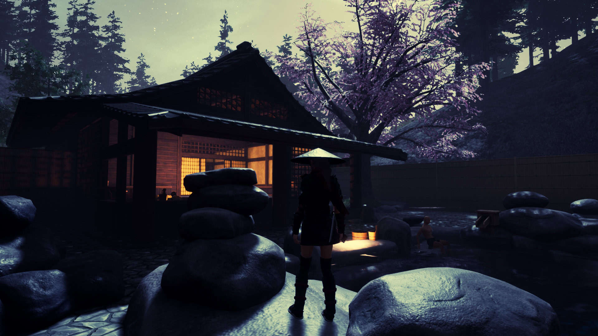 忍者传：三好家的陨落/Tale of Ninja: Fall of the Miyoshi-次元集