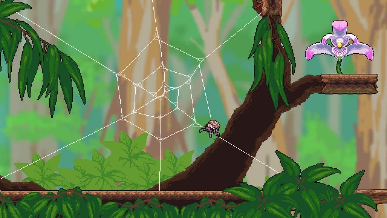 勇网直前/Webbed-次元集