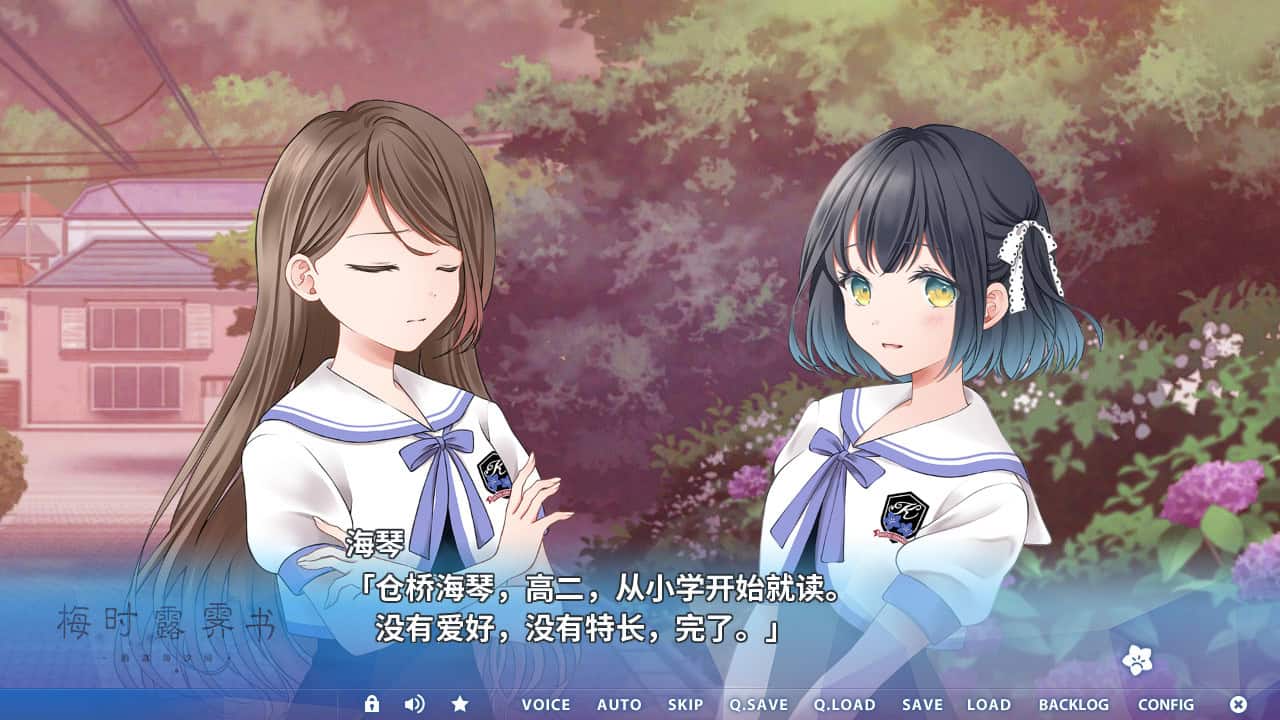 梅时露霁书~雨潺海汐间~/Letters From a Rainy Day -Oceans and Lace--次元集