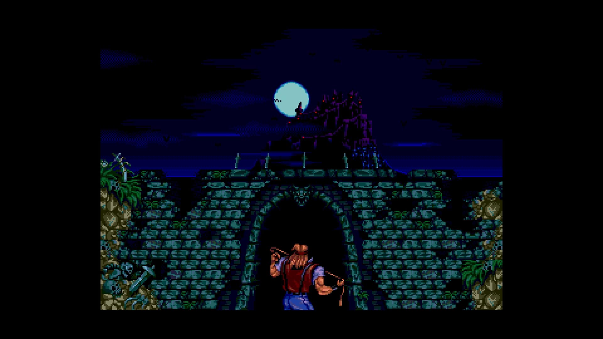 恶魔城周年收藏集/恶魔城高级收藏版/Castlevania Anniversary Collection-次元集