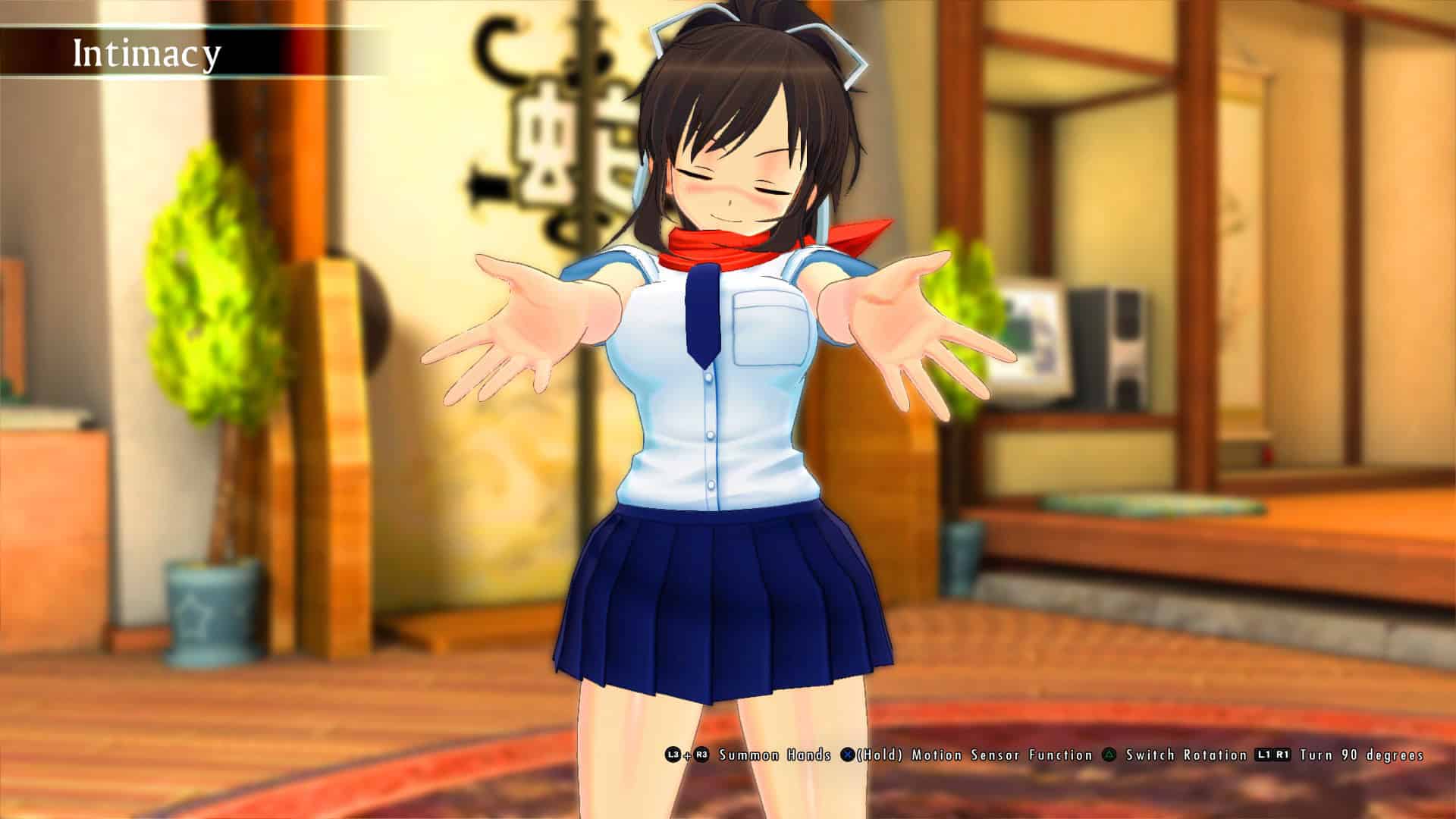 闪乱神乐Burst Re：Newal/Senran Kagura Burst Re：Newal-次元集