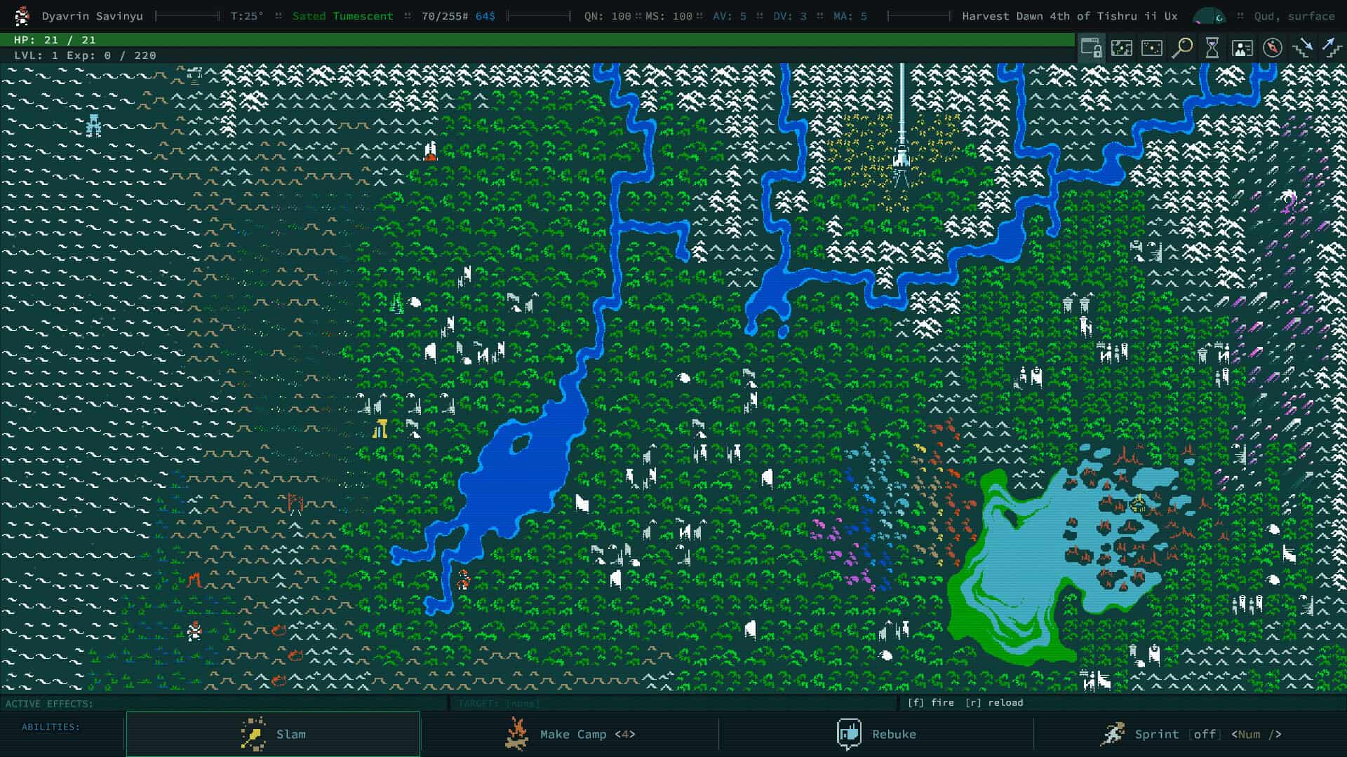 卡德洞窟/Caves of Qud-次元集