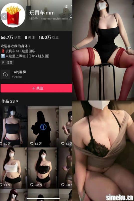 [合集打包]抖音玩具车mm/玩具车ss/玩具车wow微密圈作品合集完整合集打包下载+持续更新-次元集