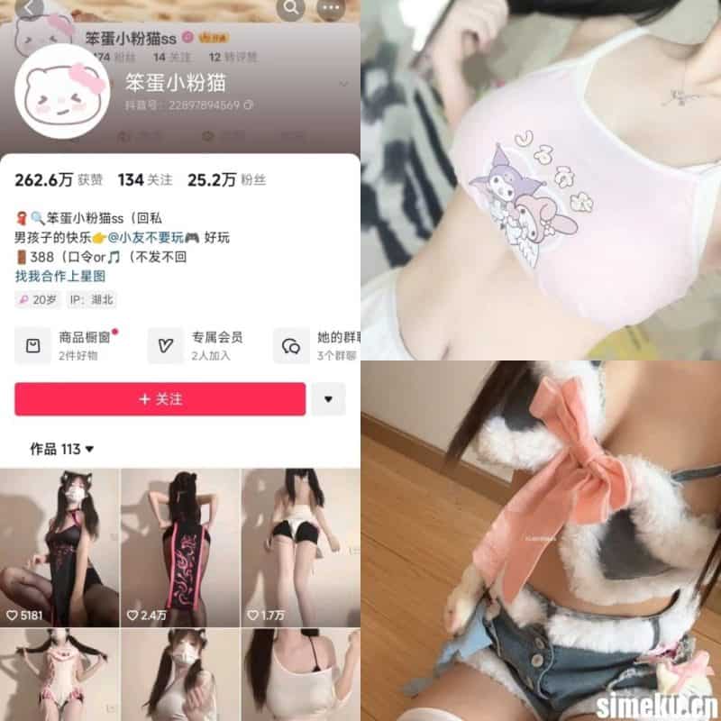 [合集打包]抖音笨蛋小粉猫微密圈作品合集完整合集打包下载+持续更新-次元集