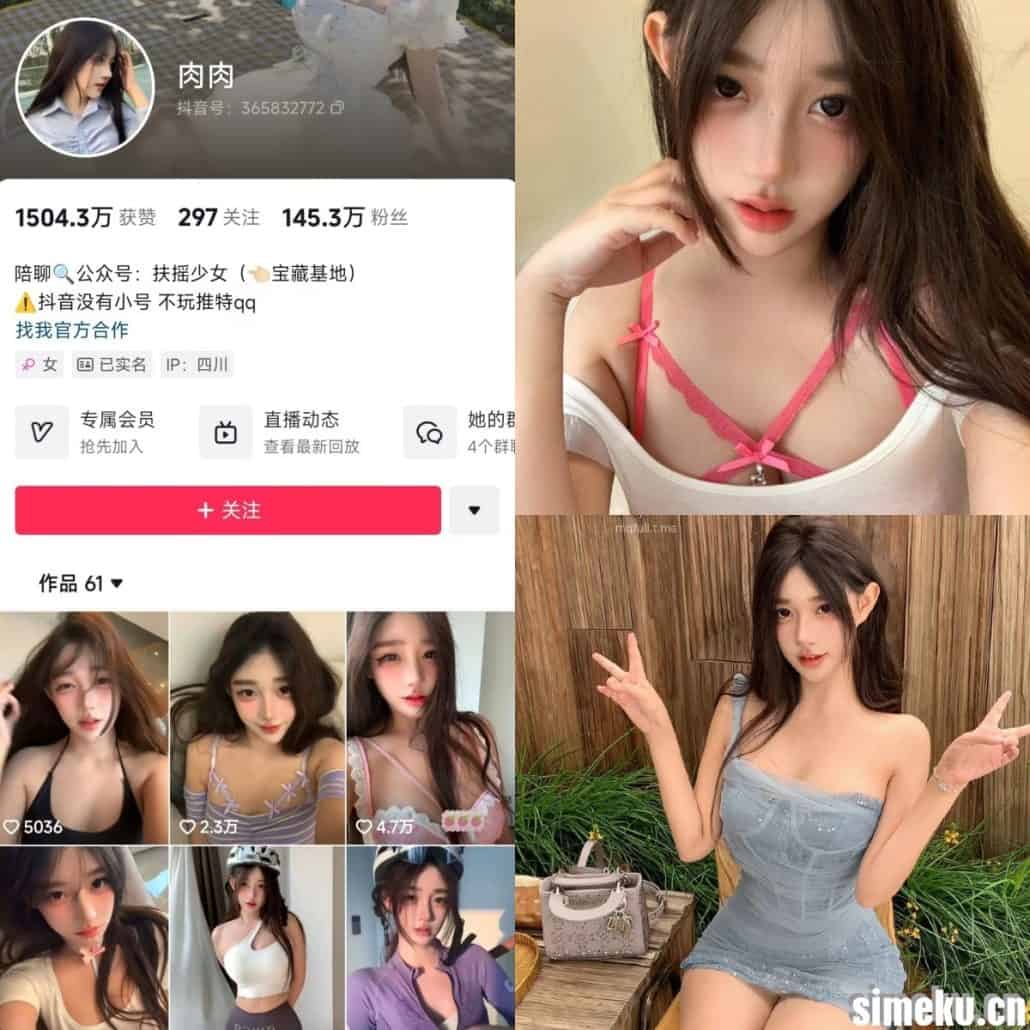 [合集打包]抖音肉肉/甜筒酱呐铁粉空间作品合集完整打包下载+持续更新-次元集
