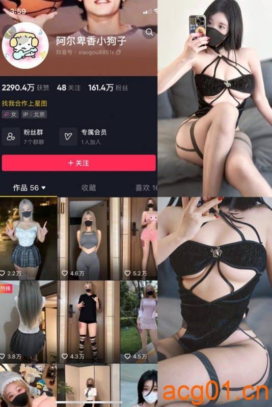 [合集打包]阿尔卑香小狗子/小狗子的圈子微密圈照片视频觅圈合集打包下载+持续更新-次元集