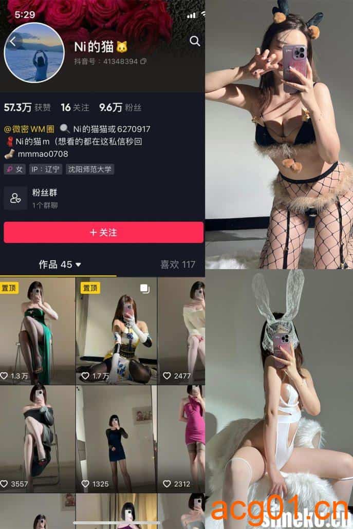 [合集打包]Ni的猫猫微密圈照片视频觅圈合集打包下载+持续更新-次元集