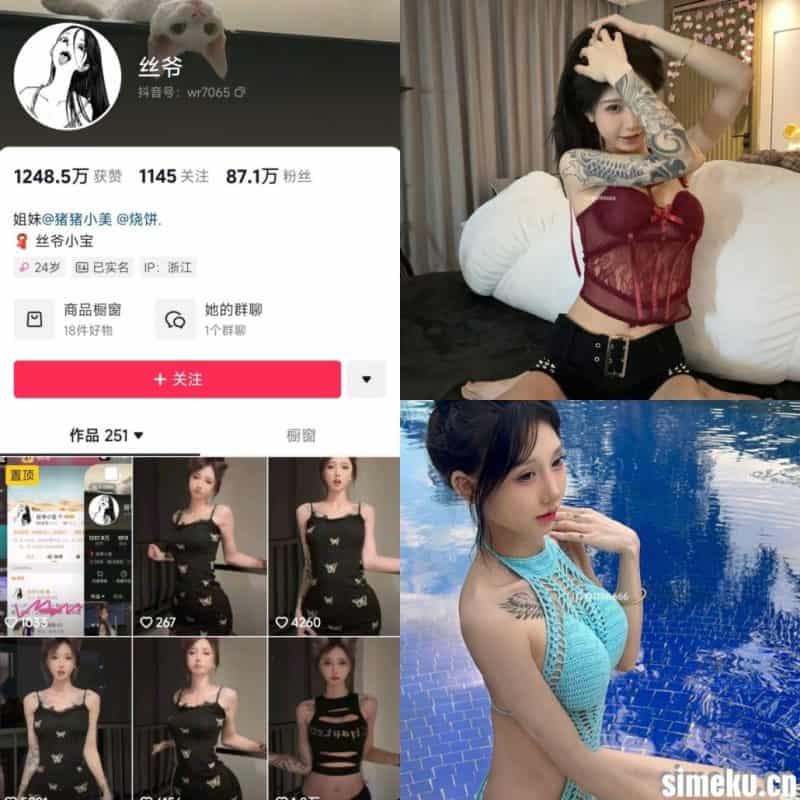 [合集打包]抖音丝爷/丝野大宝/丝爷小宝微密圈作品合集完整合集打包下载+持续更新-次元集