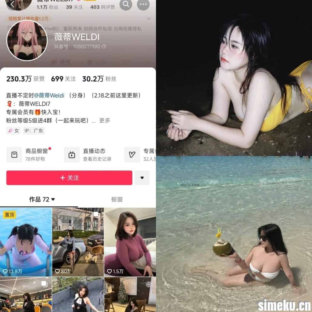 [合集打包]抖音薇蒂WELDI铁粉空间最新付费作品合集完整版作品打包下载+持续更新-次元集