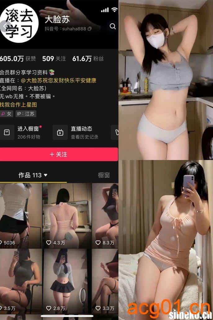 [合集打包]大脸苏微密圈照片视频觅圈合集打包下载+持续更新-次元集