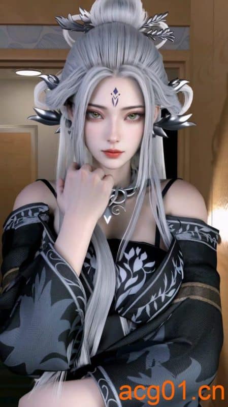 小白手办(1)-次元集