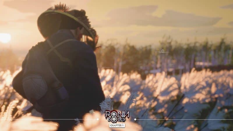 浪人：两魂一体/RONIN: Two Souls CHAPTER 1-次元集