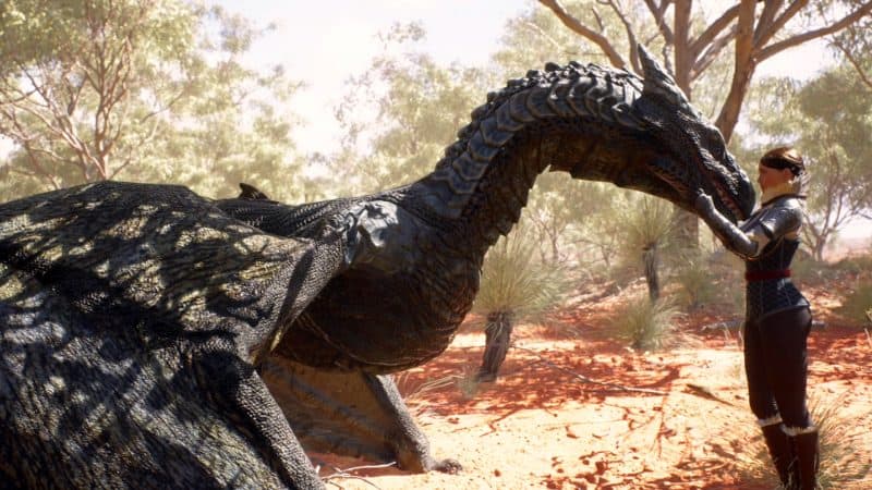 展翅飞翔：英雄的诞生/On the Dragon Wings - Birth of a Hero-次元集