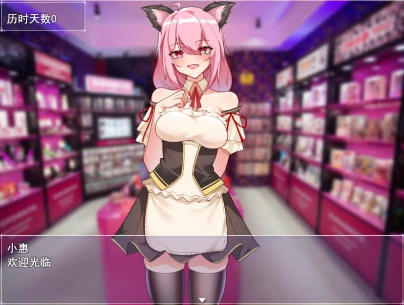 票者！小惠的打工大作战-次元集