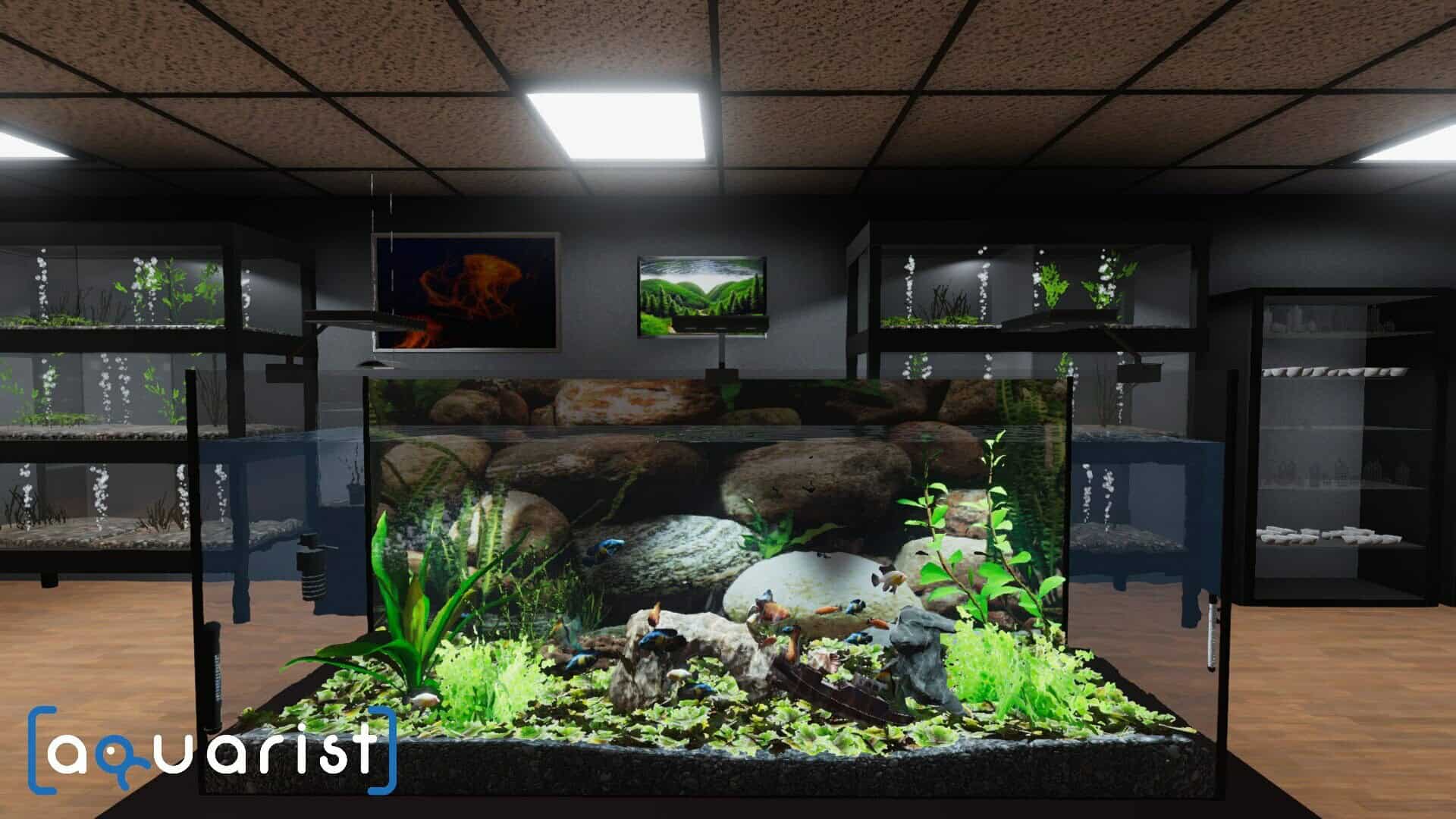 Aquarist – 建造水族馆，养鱼，发展你的事业！-次元集