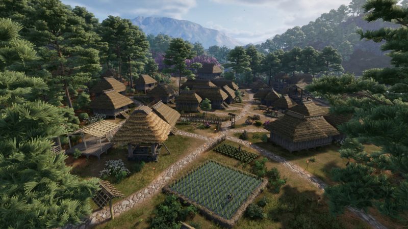 战国王朝/Sengoku Dynasty/支持网络联机-次元集