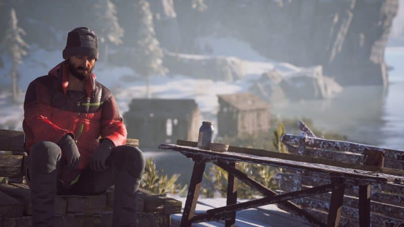 冬日幸存者/Winter Survival-次元集