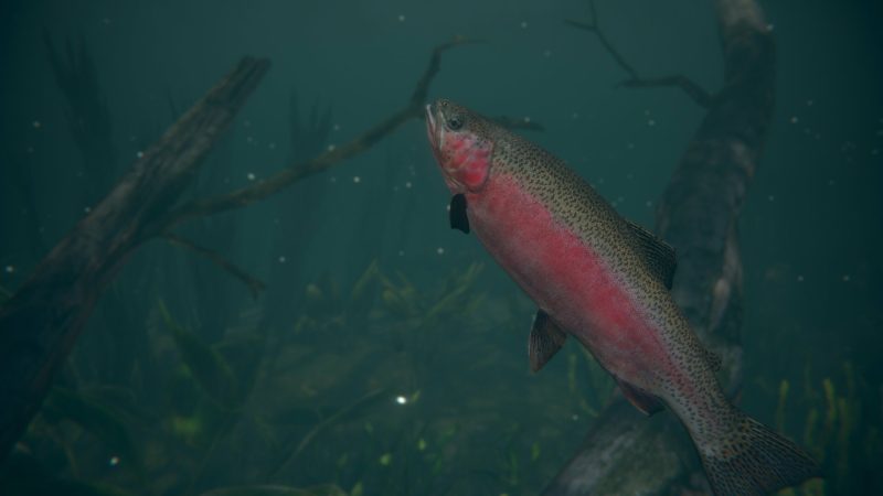 终极钓鱼模拟器2/Ultimate Fishing Simulator 2-次元集