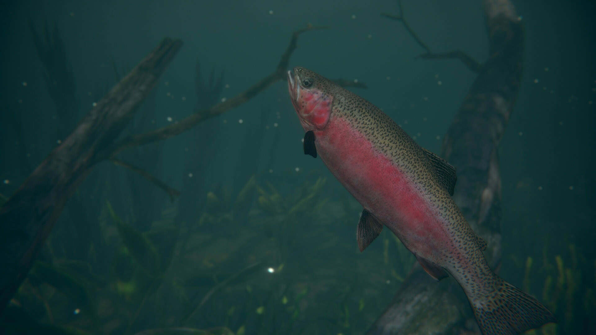终极钓鱼模拟器2/Ultimate Fishing Simulator 2-次元集