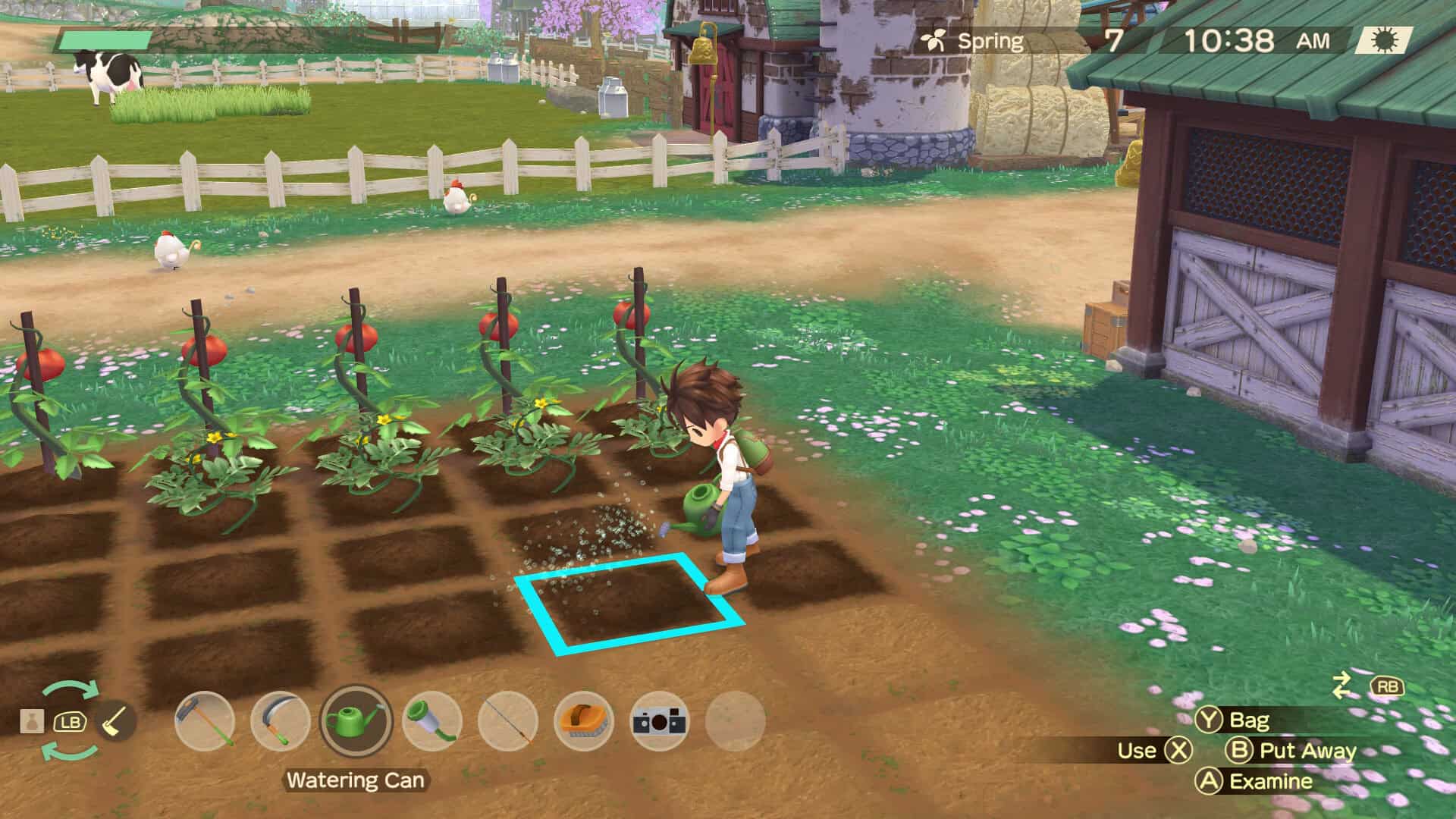 牧场物语 Welcome！美丽人生/STORY OF SEASONS: A Wonderful Life-次元集