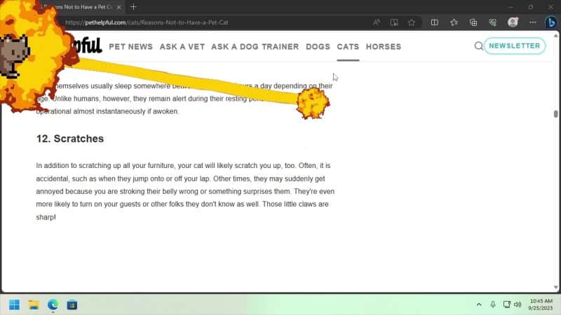 桌面宠物/Desktop Pet Project-次元集