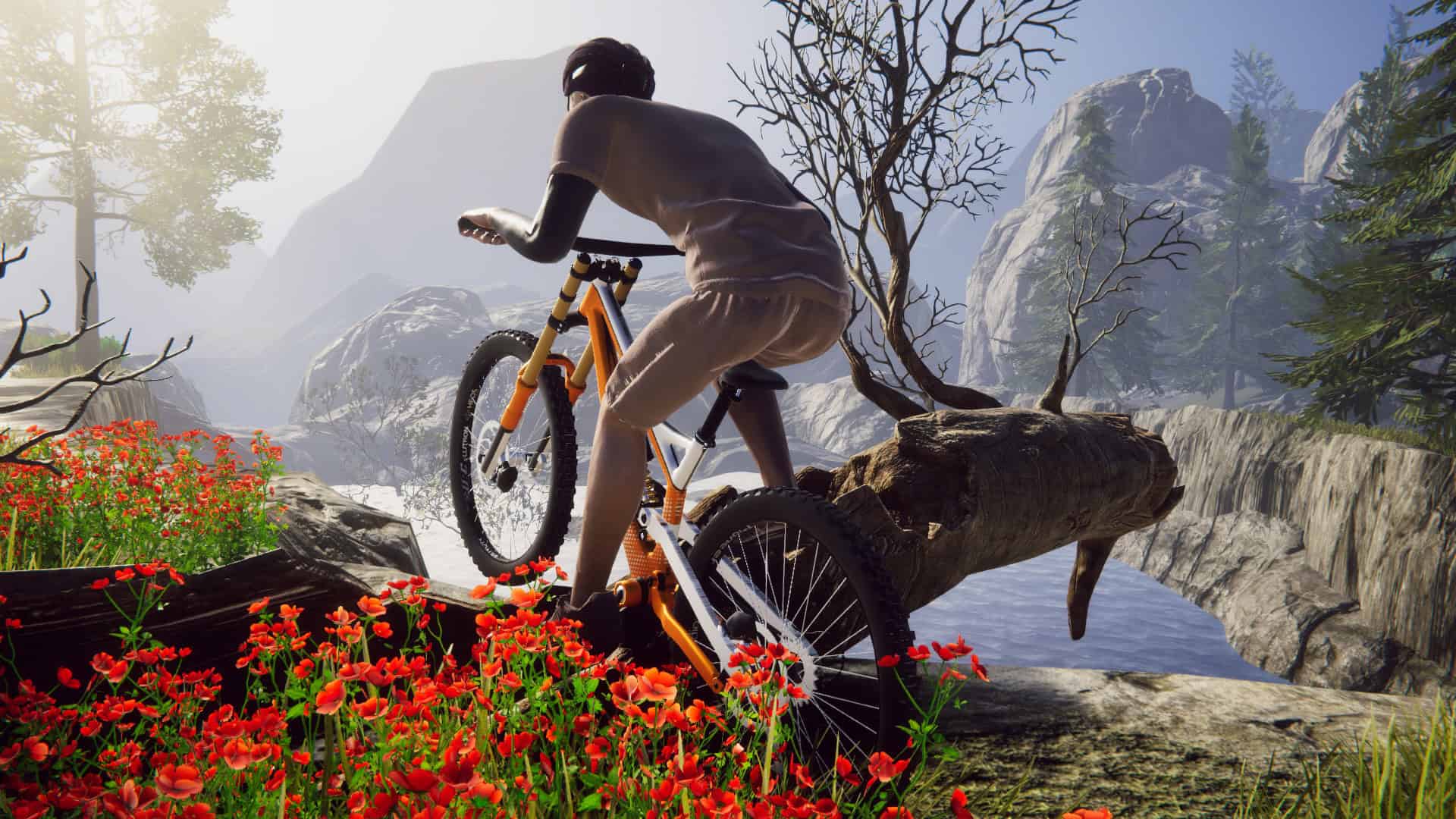 自行车骑手模拟器/Bicycle Rider Simulator-次元集