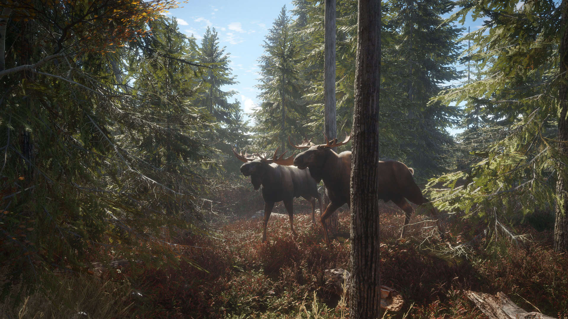 猎人：荒野的召唤/theHunter: Call of the Wild/支持网络联机-次元集