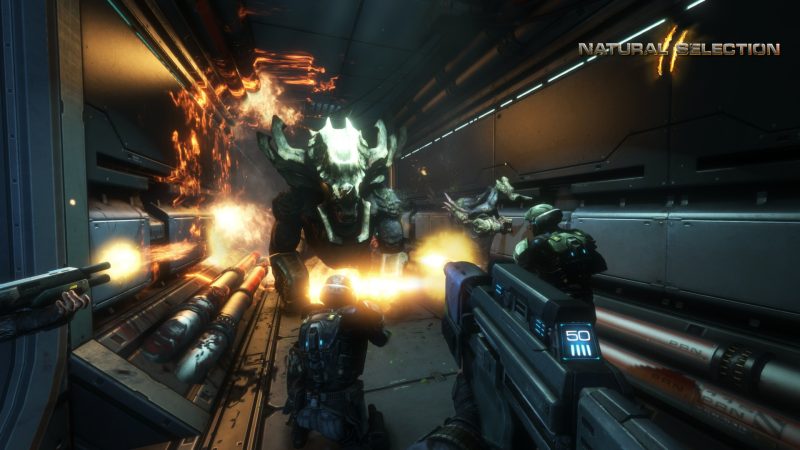 物竞天择2/Natural Selection 2-次元集