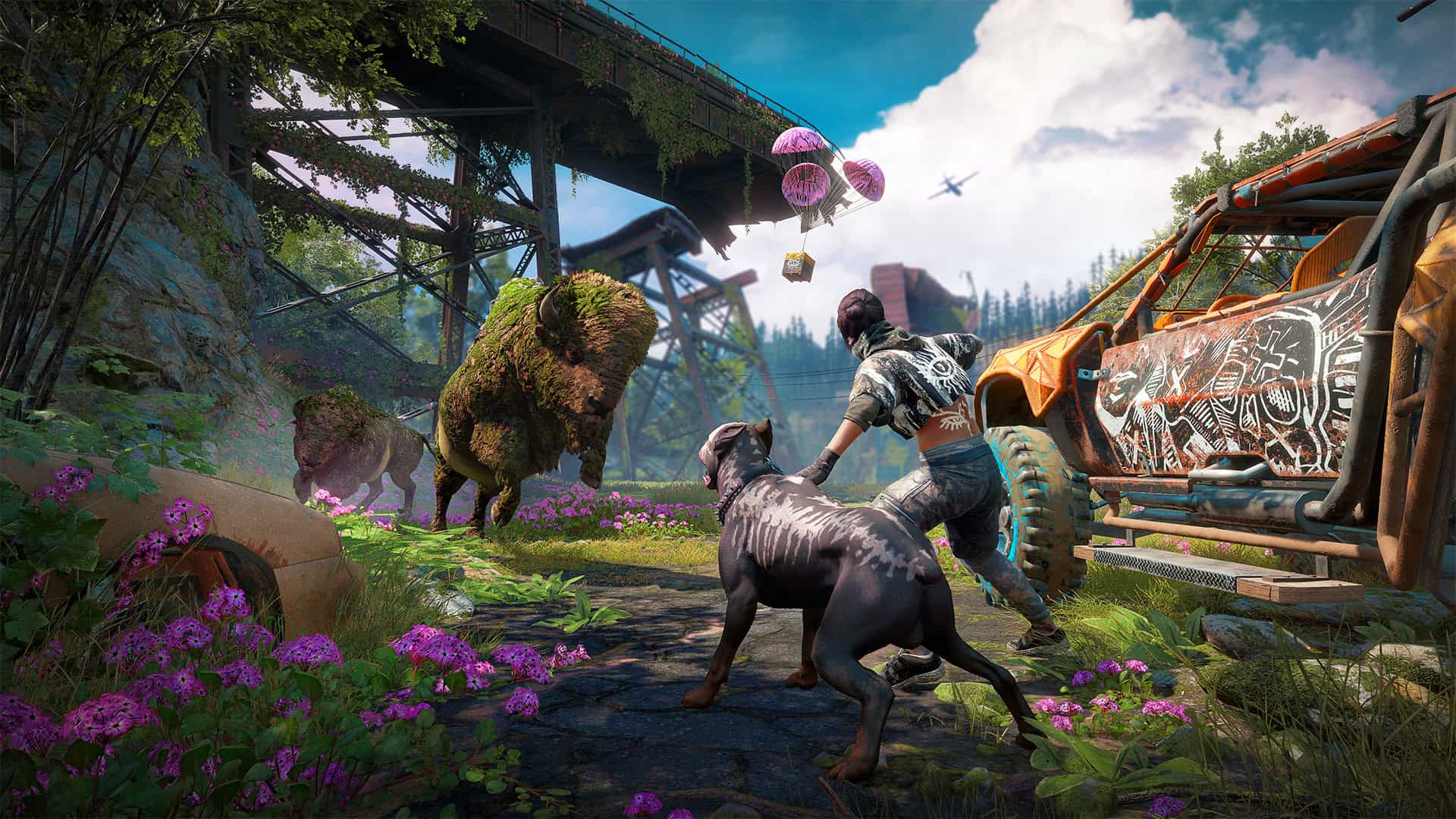 孤岛惊魂：新曙光/Far Cry: New Dawn-次元集