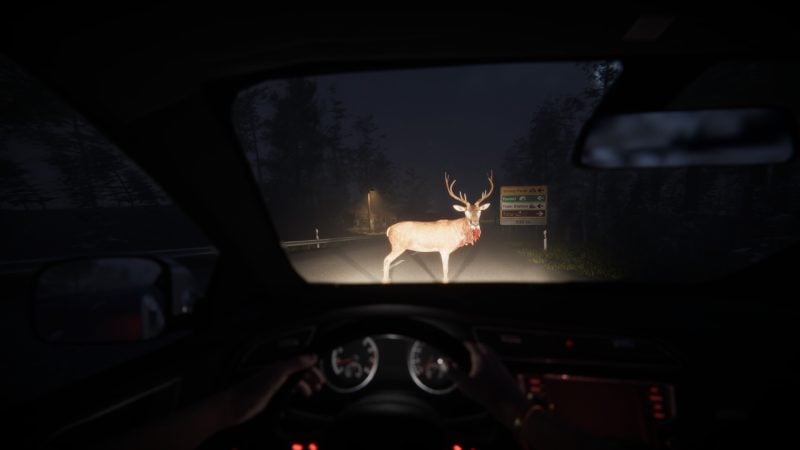 回家，安妮/Go Home Annie-次元集