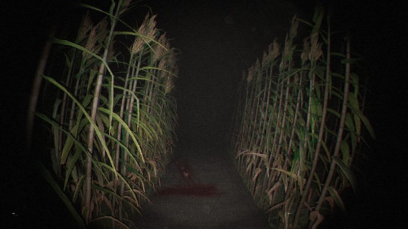 诡影实录/Unknown Tapes-次元集