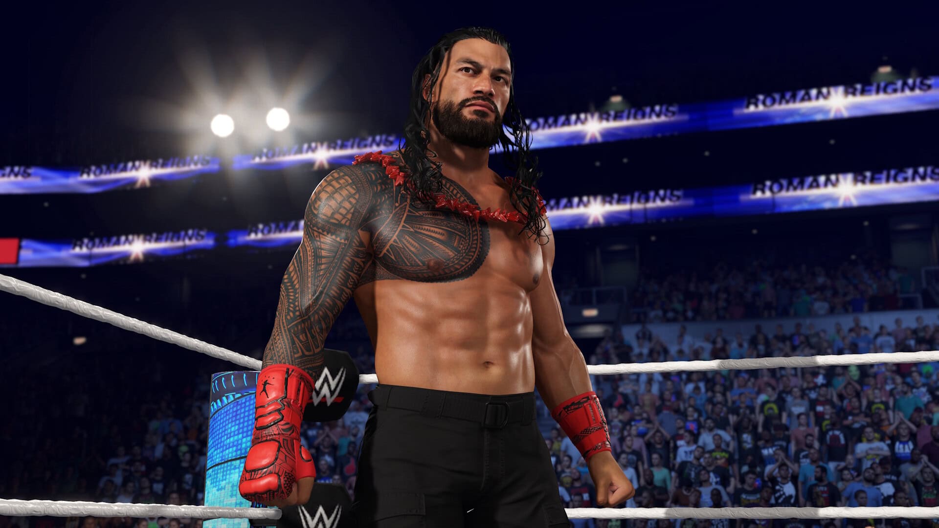 美国职业摔角联盟2K25/WWE 2K25-次元集
