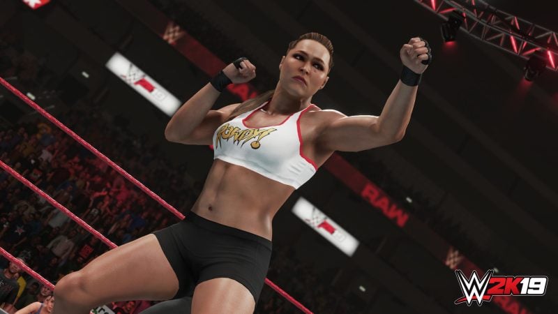 WWE 2K19/美国职业摔角联盟2K19-次元集