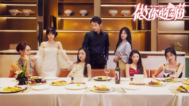 做你的猫/BeYourCat-次元集