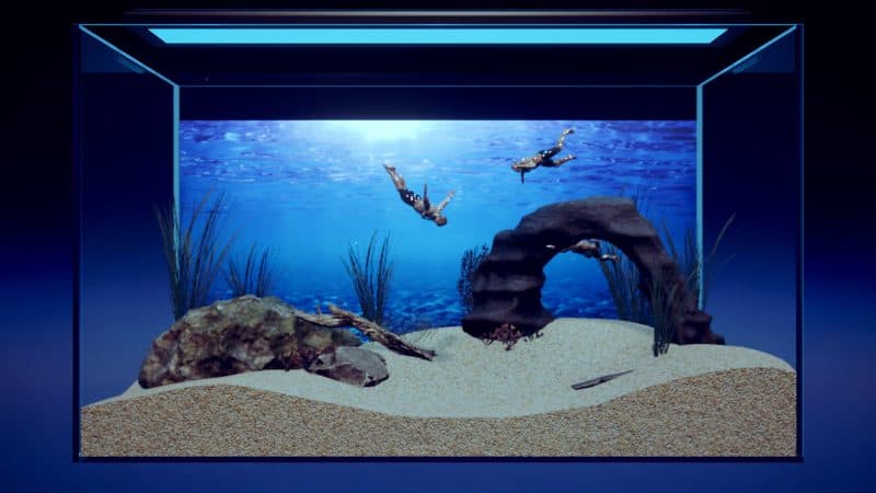 壮士水族馆 -肌肉水族馆模拟器-/Machorium -Muscle Aquarium Simulator--次元集